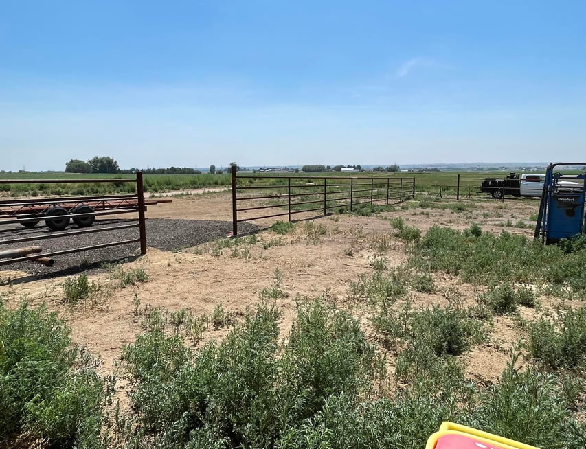 2 3/8" Drill Step Pipe Cattle Pens, with Pipe Posts to hang the Weld on Gates. The outside fence that will be the alley and load out. Construction by Integrity Welding Service LLC, servicing the Front Range of Colorado.