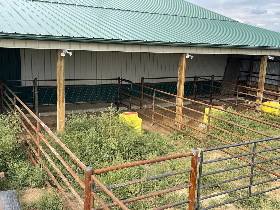 Drill Stem Pipe Cattle Pens to a working Alley, and the Pasture with Weld on Gates. Construction by Integrity Welding Service LLC, servicing the Front Range of Colorado.